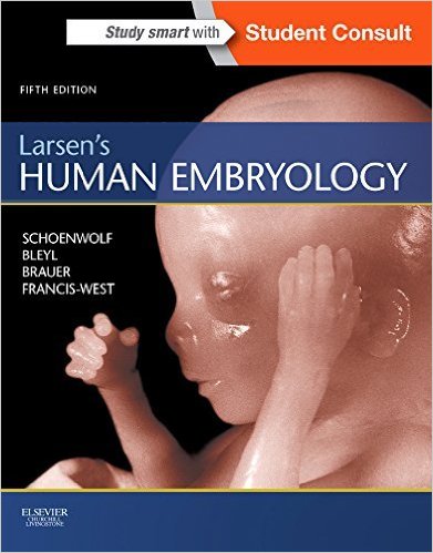 File:Larsen's human embryology 5th ed.jpg
