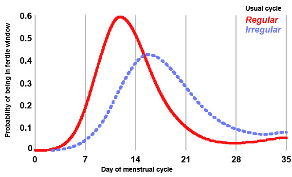 File:Menstrual cycle fertility probability 01.jpg