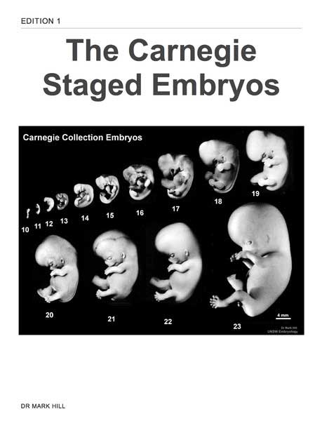 File:The Carnegie Staged Embryos cover.jpg
