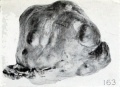 Fig. 163. External appearance of intact specimen. No. 1522. X0.75.