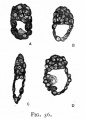 Fig. 56. Sections of blastocysts of the white rat 5 days.