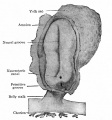 Fig. 76