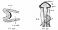 Fig. 458-459