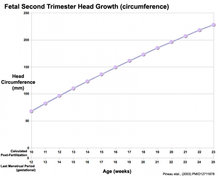 File:Fetal head growth circumference graph02.jpg