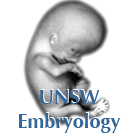 New Embryology Site