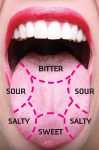 File:Tongue map.jpg