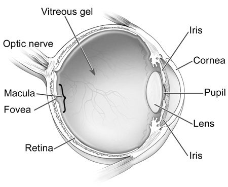 File:Eye diagram bandw.jpg