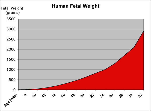 Fetal weight change.jpg