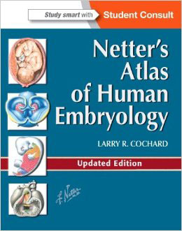 File:Netter's atlas of human embryology.jpg