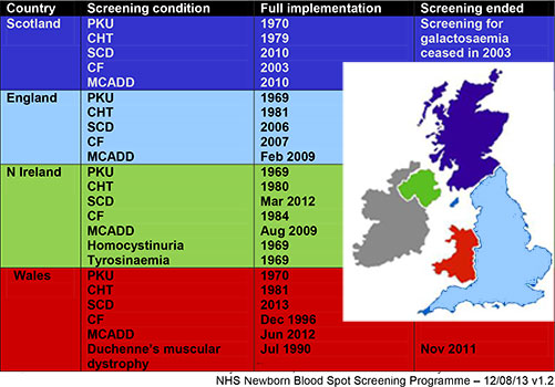 File:UK Neonatal blood spot test - August 2013.jpg
