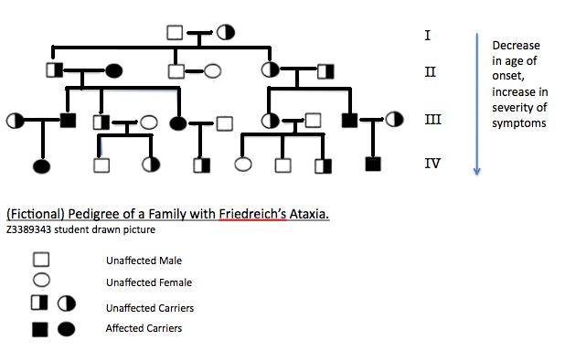 File:Pedigree of Friedreich's Ataxia.PNG
