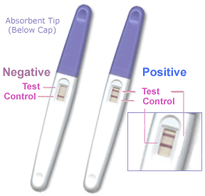 Pregnancy test.gif