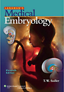 File:Langman's Medical Embryology 11th edn.jpg