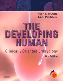File:The Developing Human, 8th edn.jpg