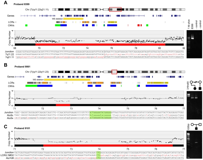 File:Breakpoint identification in individuals with deletions in the WS region and atypical phenotypes.jpg
