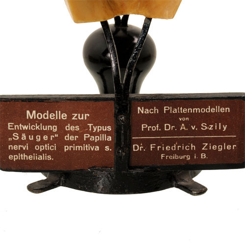 File:Ziegler model legend 21.jpg