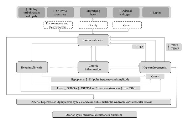 File:Patholophysiology of Polycystic Ovarian Syndrome.jpg