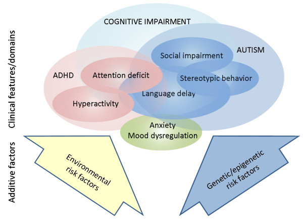 File:Phenotypes of FXS overlap with those of Autism.jpg