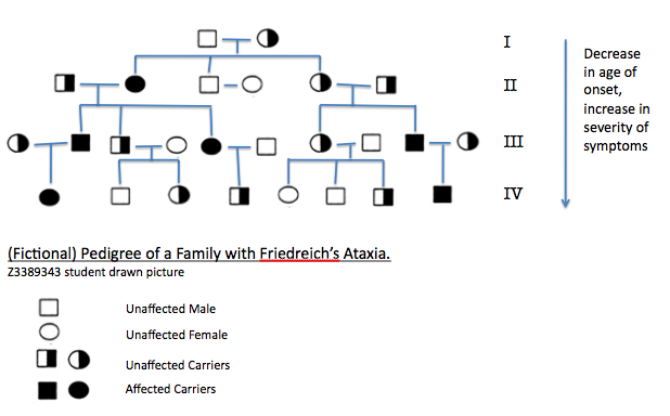 Friedreich's Ataxia Pedigree.png