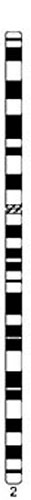 File:Human idiogram-chromosome 02.jpg