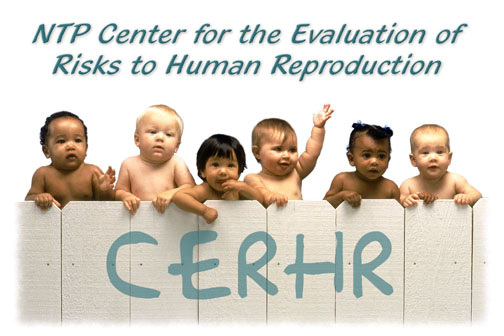 File:Center for the Evaluation of Risks to Human Reproduction icon.jpg