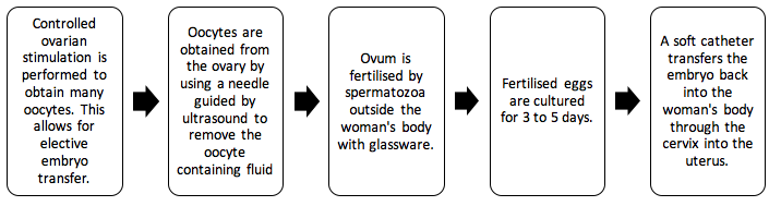 File:IVF flow chart.png