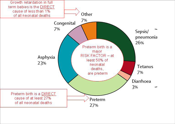 File:Causes of neonatal death globally 2000.jpg