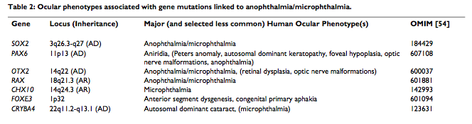 Summary of the genes associated with anophthalmia and microphthalmia.png