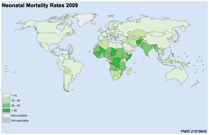 File:Neonatal mortality rates 2009.jpg