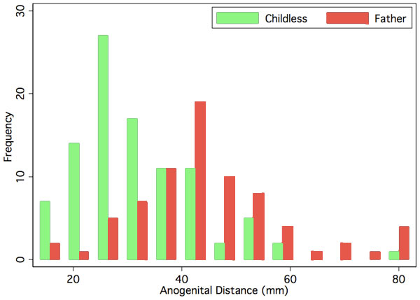 File:Human male anogenital distance graph.jpg
