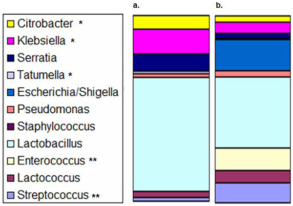 File:Mouse - analysis of colonic microbiota.jpg