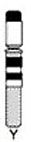 Human idiogram-chromosome Y.jpg
