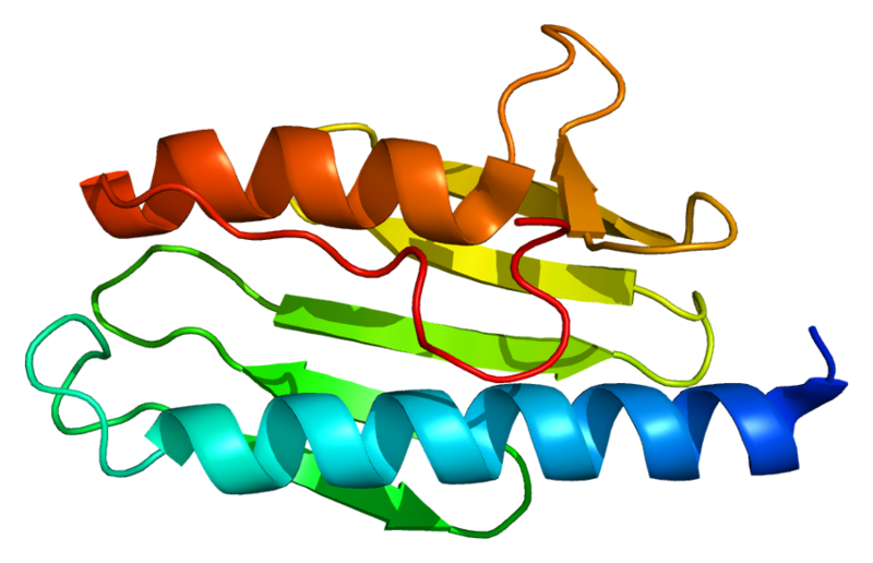 File:Frataxin Protein.png