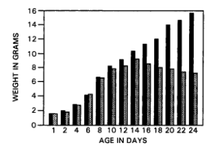File:Graph depicting the body weight of TGF-β1 knockout mice compared to normal mice.png