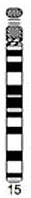 Human idiogram-chromosome 15.jpg