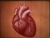 Heart historic 001 icon.jpg