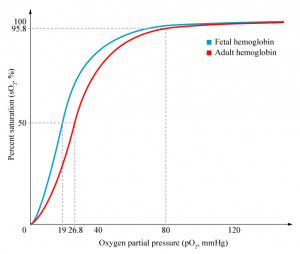 Haemoglobin_comparison_oxygen_saturation_curve.png