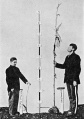 Fig. 57. A short and a tall boy, each holding a stalk of corn