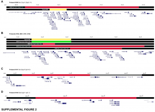 Schematic diagram detailing genes deleted in probands.jpeg