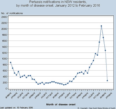 NSW-pertussis-notification-graph 2012-16.jpg