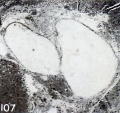 Thumbnail for version as of 09:04, 3 December 2012