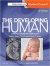 The Developing Human, 10th edn.jpg