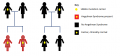 Z3291643 - Relevant to group project topic. Meets the student drawn figure criteria. Includes student disclaimer and copyright information. Legend includes additional information as peer teaching. I would have liked to have seen correct genetic pictograms used in the image.