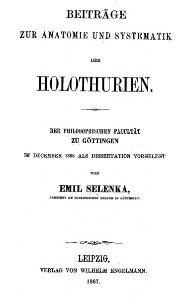 File:Selenka1867 Contributions to anatomy and systems of holothurians.jpg