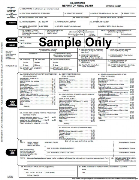 File:USA sample form - fetal death report.jpg