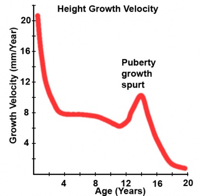 Puberty growth.jpg