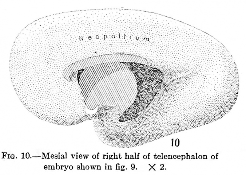 File:Jenkins010.jpg