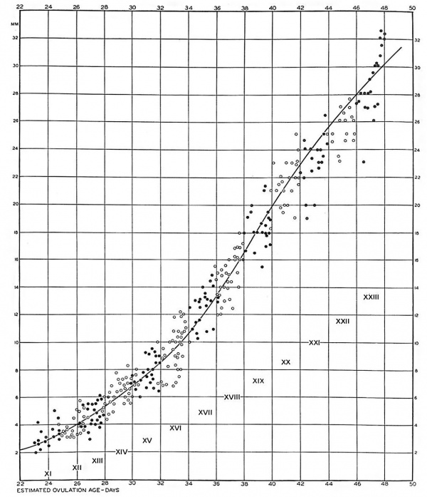 Carnegie embryos 19-23 graph