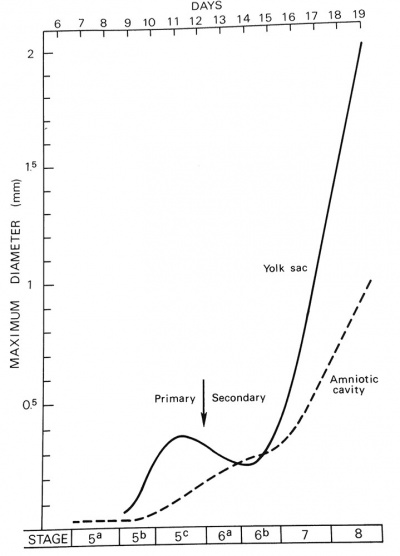 Yolk sac and amniotic cavity volume graph.jpg