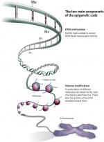 Epigenetics cartoon